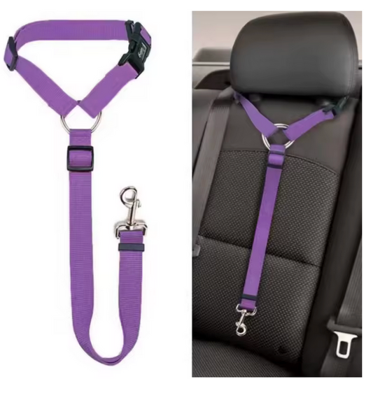 Harnais de sécurité pour chien en voiture