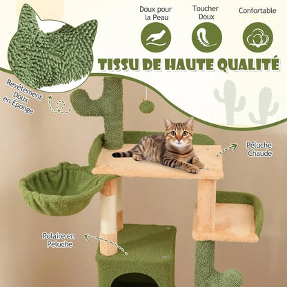 Arbre à Chat Cactus