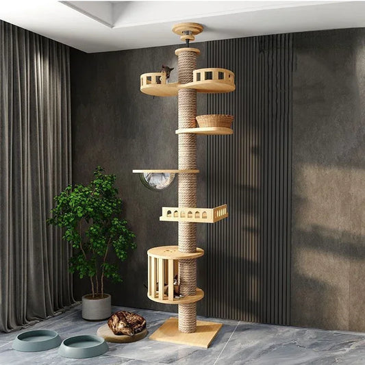 Arbre à chat