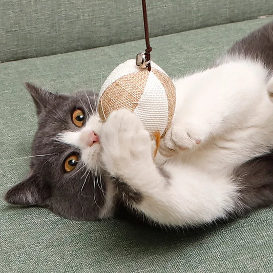 Jouets Interactifs pour Chat – Canne à Plumes & Souris