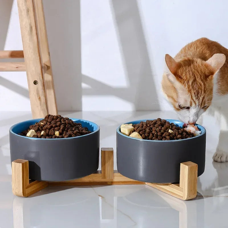 Bol en Céramique Auto-Assemblable pour Chats et Chiens – Pratique et Élégant !