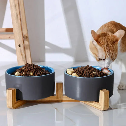 Bol en Céramique Auto-Assemblable pour Chats et Chiens – Pratique et Élégant !