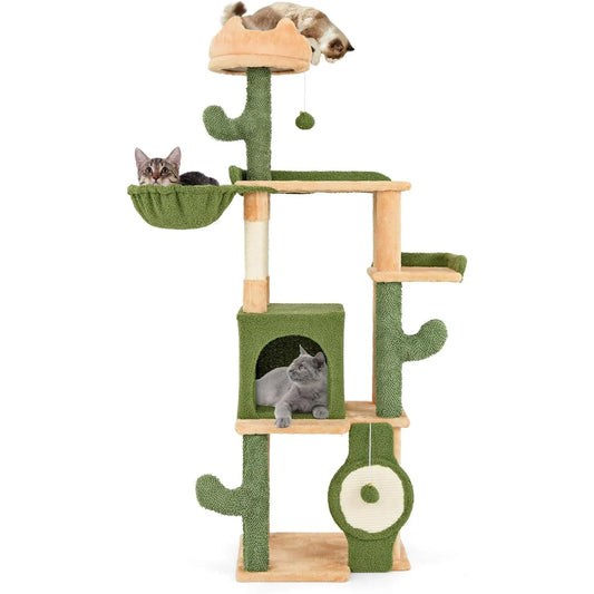 Arbre à Chat Cactus