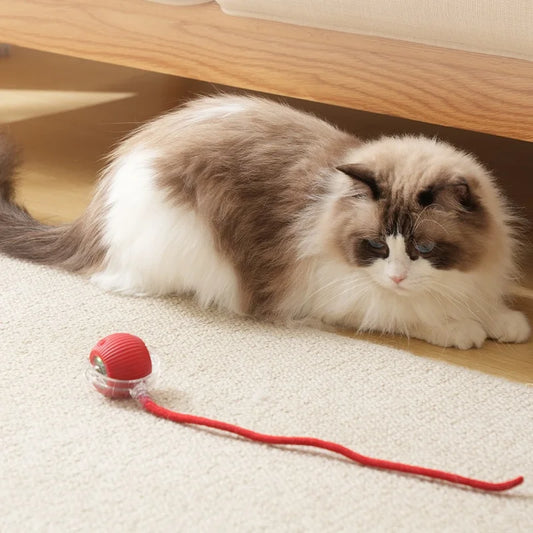 Balle Interactive Électronique pour Chats