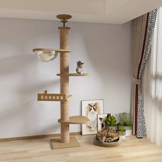 Arbre à chat