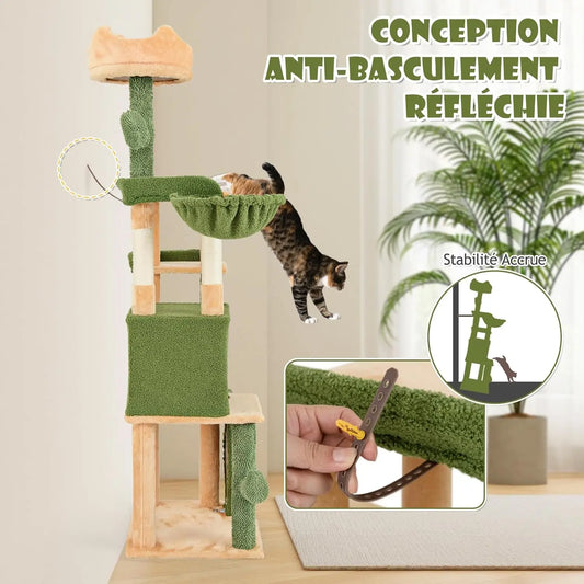 Arbre à Chat Cactus