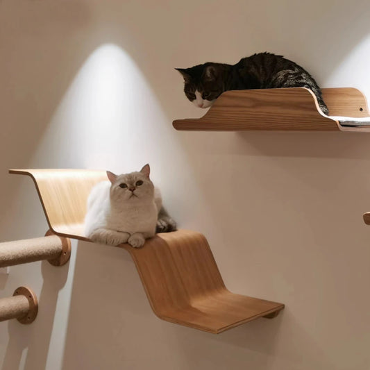 Étagères Murales Double Niveau pour Chats