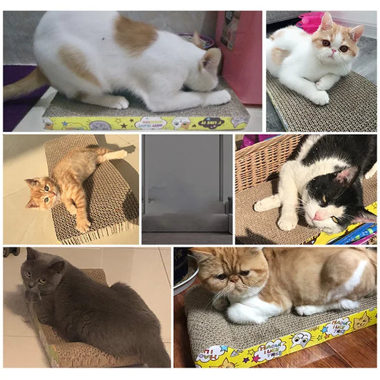 Planche à gratter pour chat