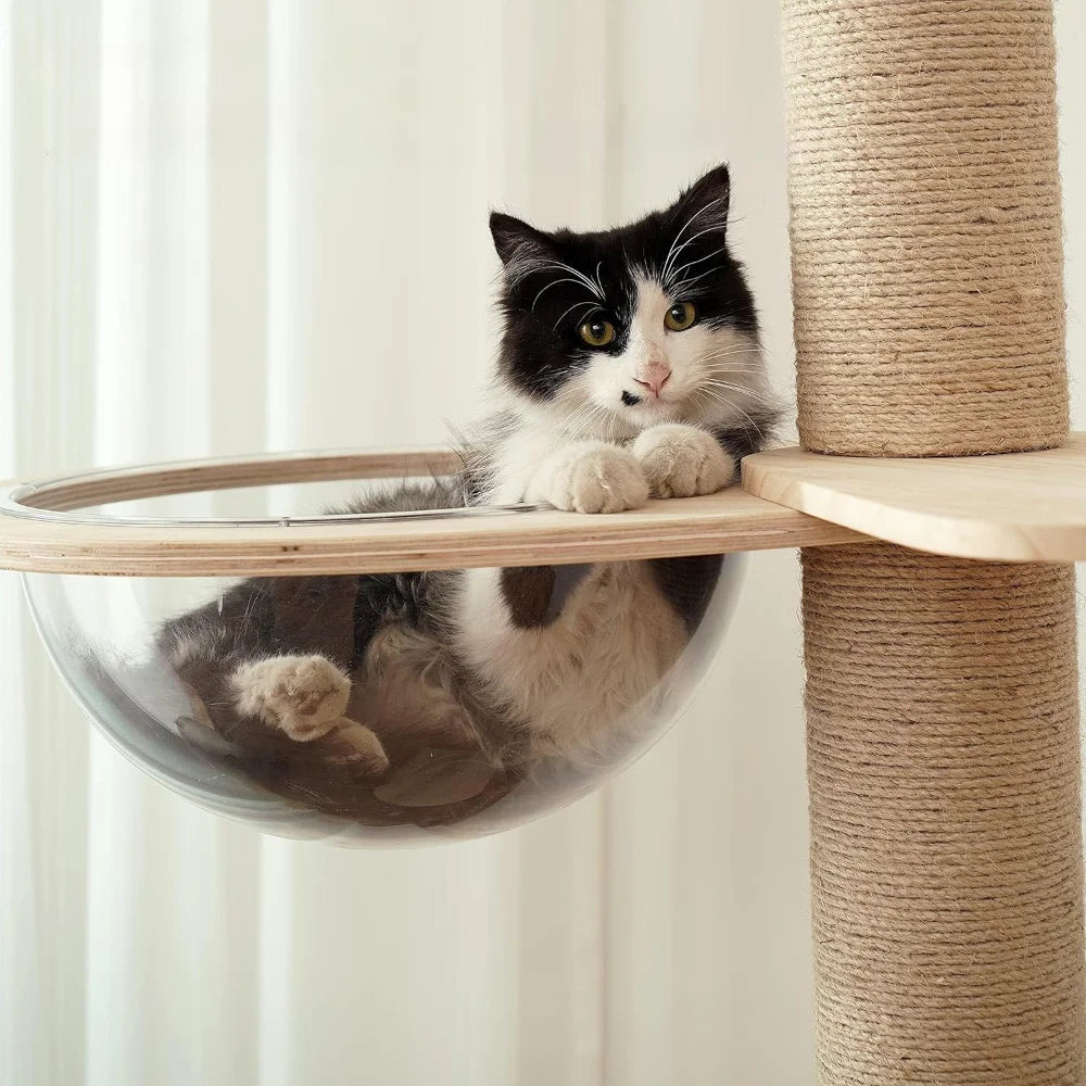 Arbre à chat