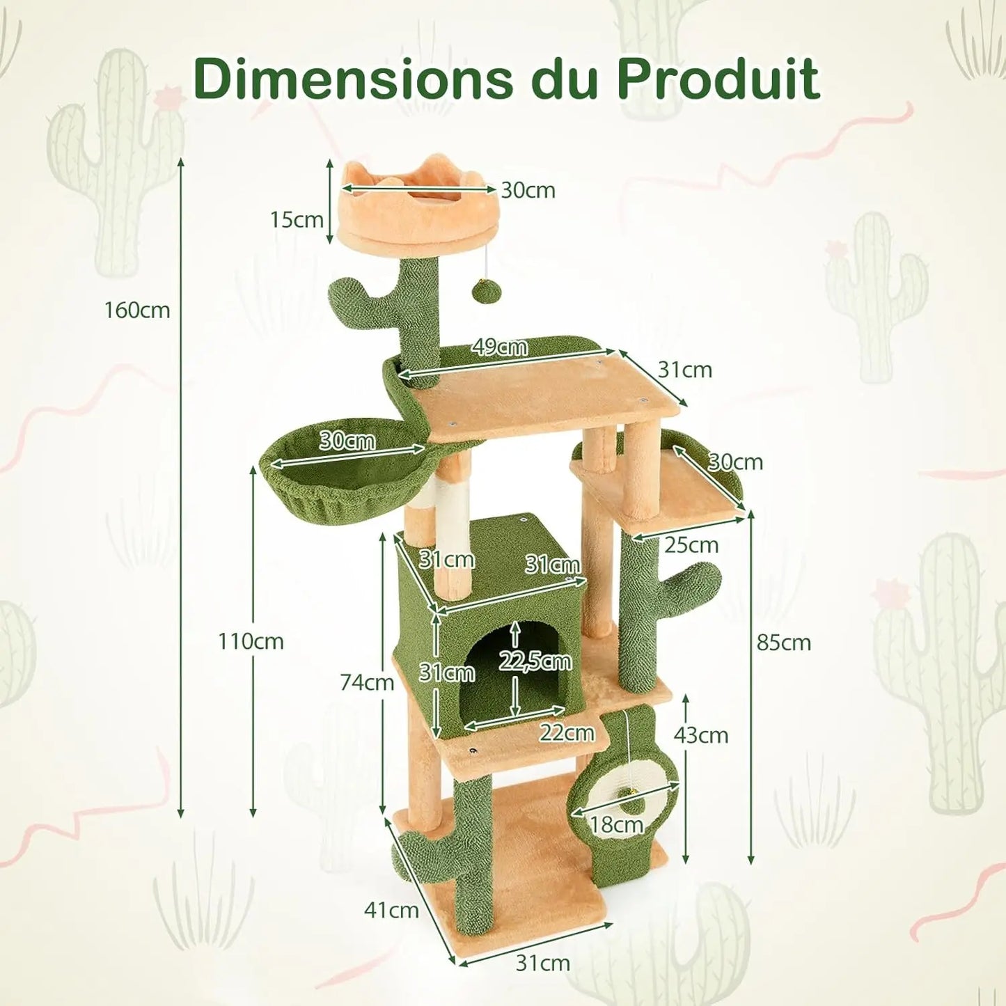 Arbre à Chat Cactus