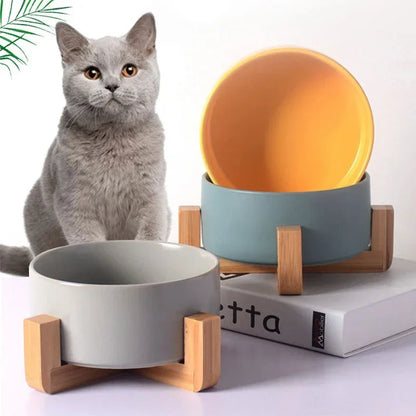Bol en Céramique Auto-Assemblable pour Chats et Chiens – Pratique et Élégant !