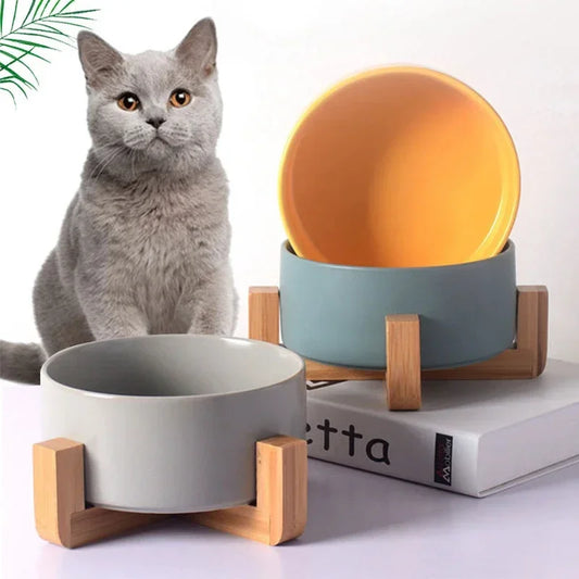 Bol en Céramique Auto-Assemblable pour Chats et Chiens – Pratique et Élégant !